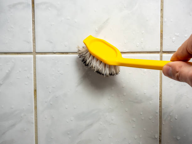 Best Mold Removal Near Me  in East Brooklyn, CT