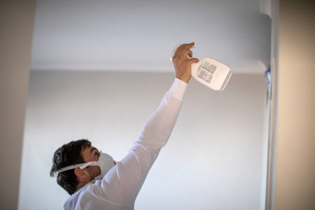 Attic Mold Removal in East Brooklyn, CT