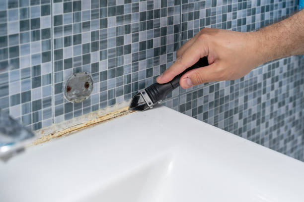 Best Residential Mold Removal  in East Brooklyn, CT